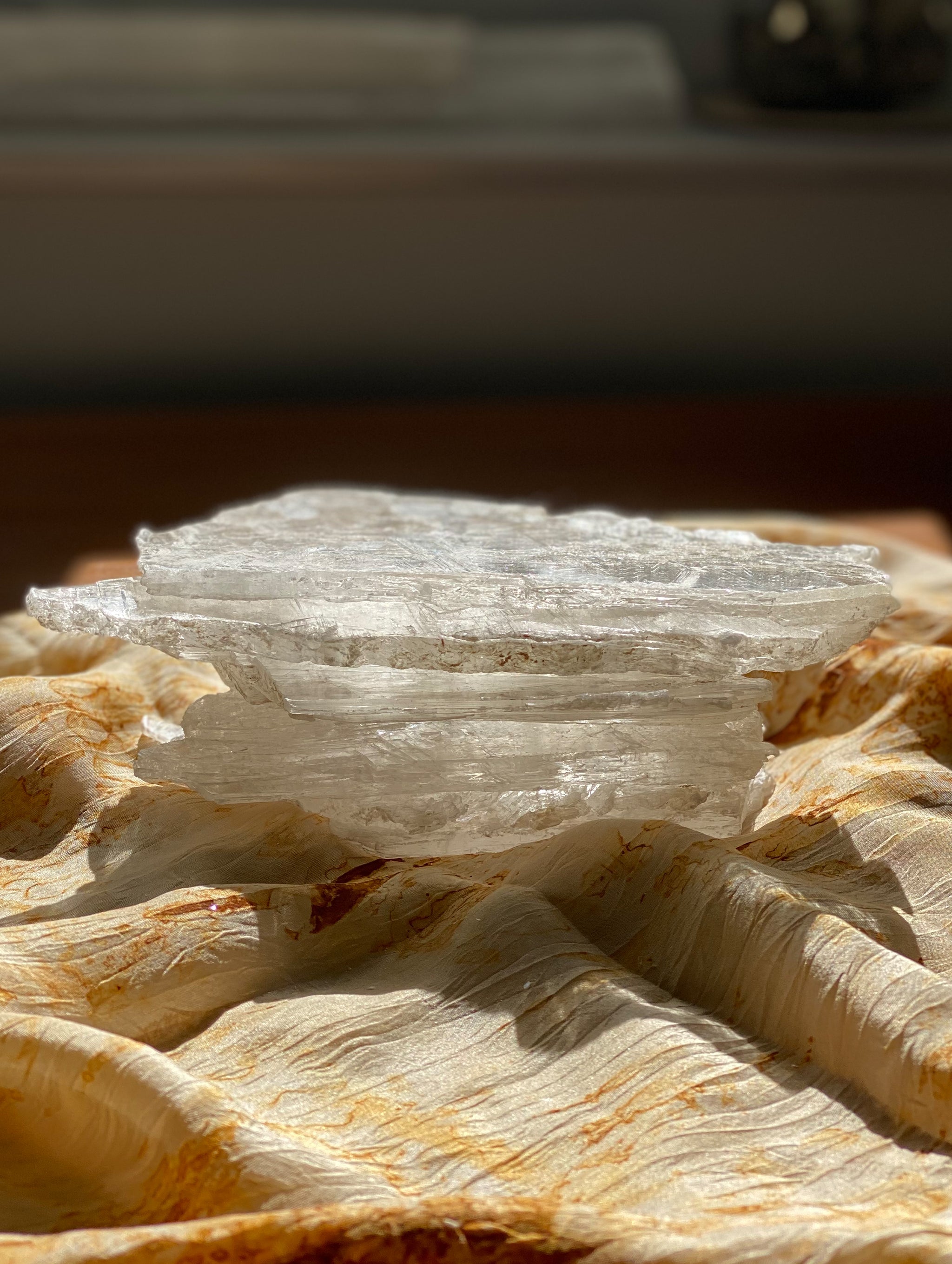OM.Theplacement Selenite