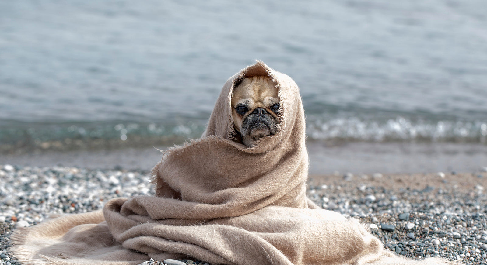 OM. OM.Theplacement. OM THE PLACEMENT. Kunzite