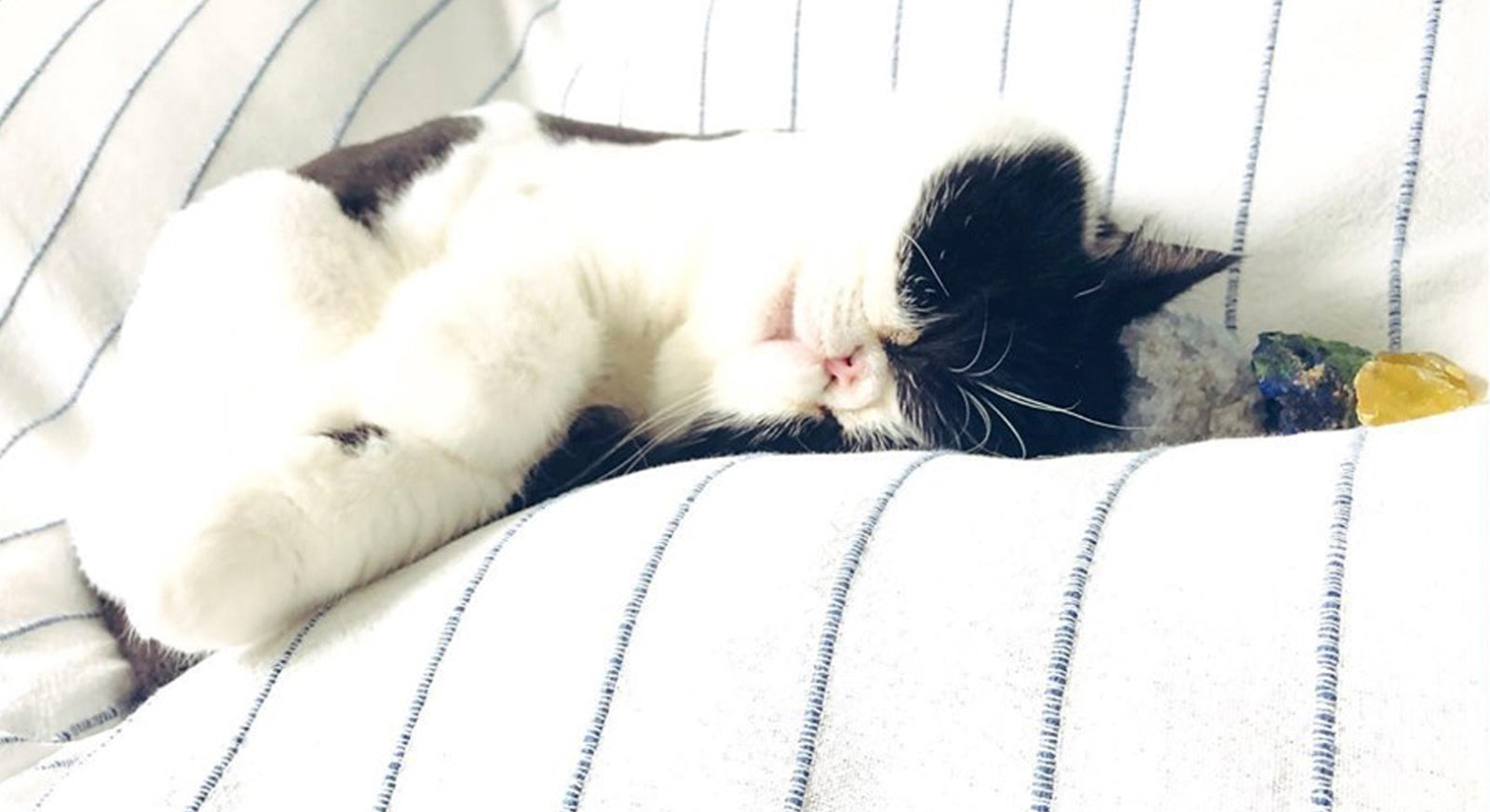 consciousness intuition spiritual awakening instinct crownchakra protection connection divine angels healing crystals energy unicorn crystals joy happiness  recharging meditation peace mind body soul 水晶冶療 水晶能量 冶癒