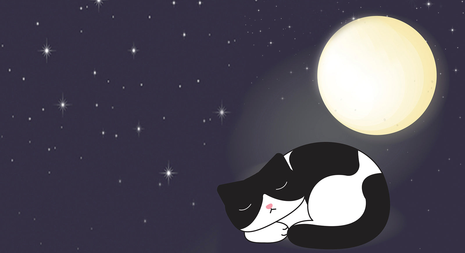 🌝月圓宜忌🌚